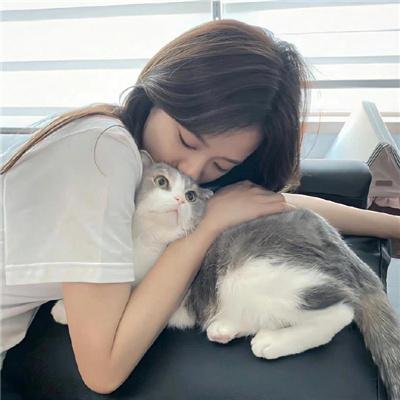 大象菩提