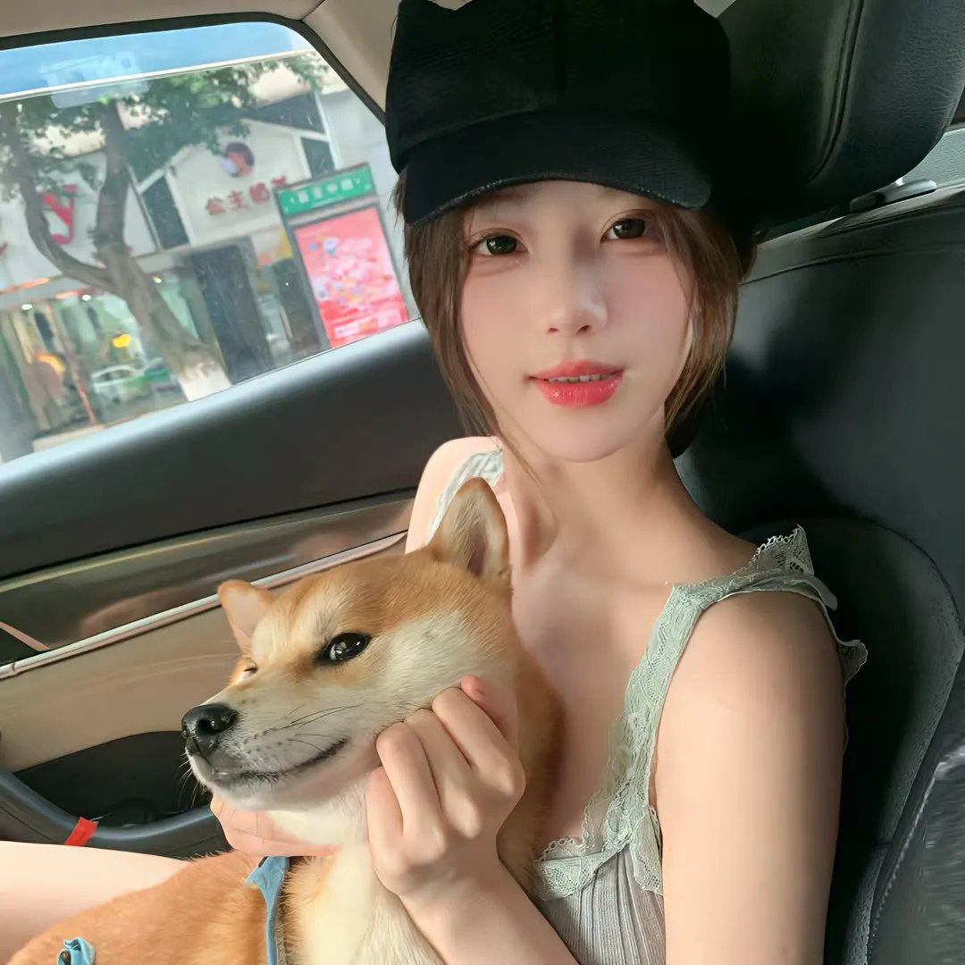 风载歌行